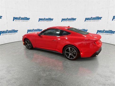 New 2025 Ford Mustang EcoBoost image 8