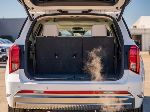 Used 2025 Hyundai Palisade Calligraphy image 20