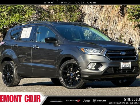 Used 2018 Ford Escape SE w/ SE Sport Appearance Package image 1
