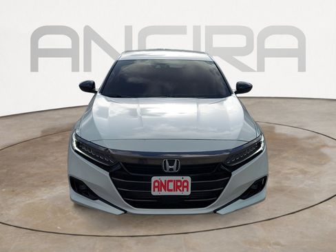 Used 2021 Honda Accord Sport Special Edition image 5