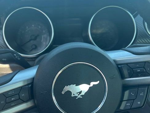 Used 2019 Ford Mustang Coupe image 11