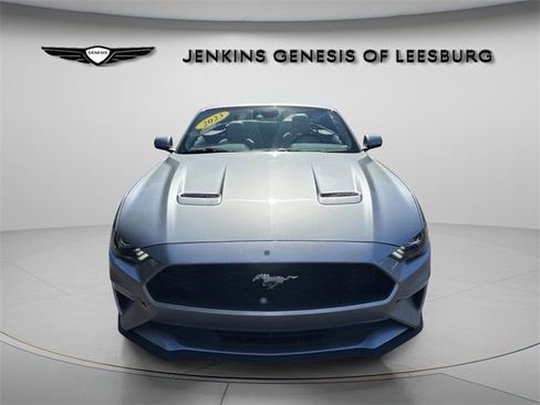 Used 2023 Ford Mustang Premium image 2