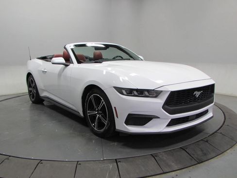 Used 2024 Ford Mustang Premium RWD image 13