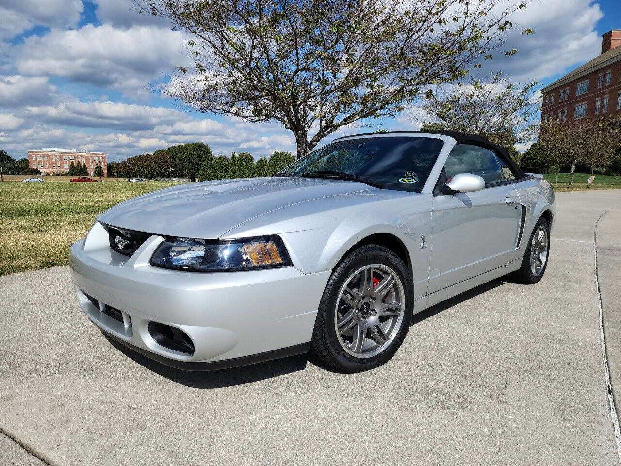 Used 2003 Ford Mustang Cobra RWD image 2