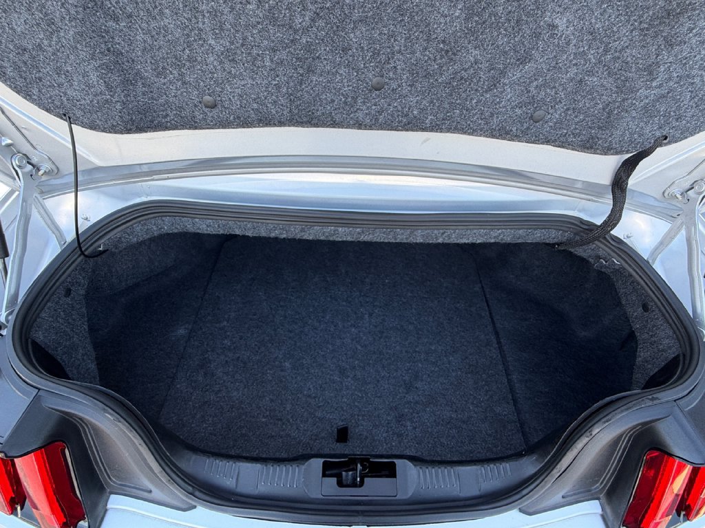 Used 2019 Ford Mustang Premium RWD image 19