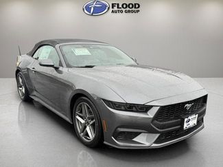 New 2026 Ford Mustang Premium w/ Anti-Theft Package video 1