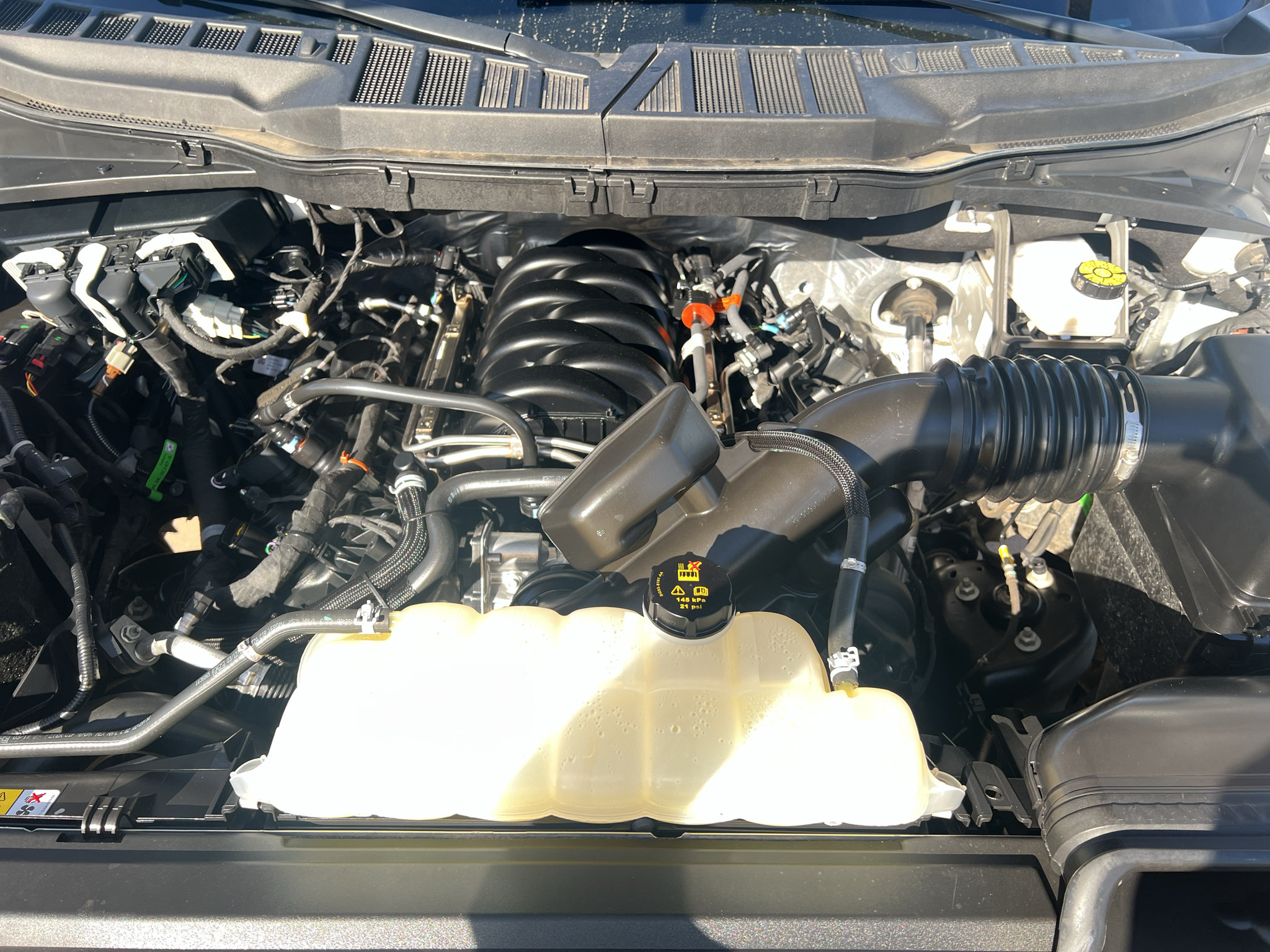 Used 2025 Ford F150 XLT w/ Equipment Group 301A Standard AWD/4WD image 17