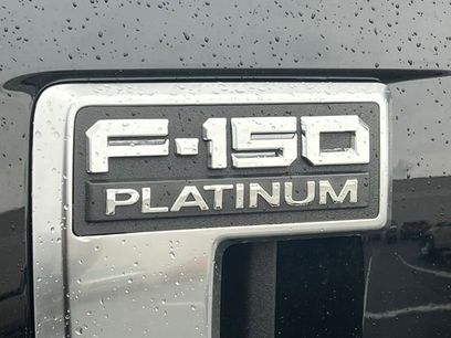 New 2026 Ford F150 Platinum