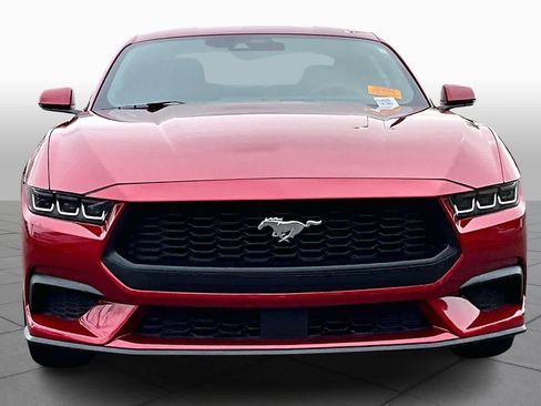 Certified 2024 Ford Mustang Premium image 3