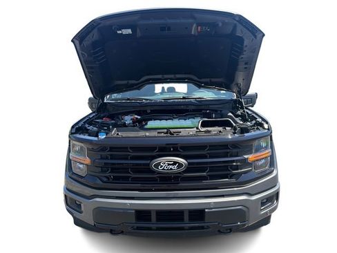 Used 2025 Ford F150 XLT w/ Equipment Group 302A MID AWD/4WD image 12