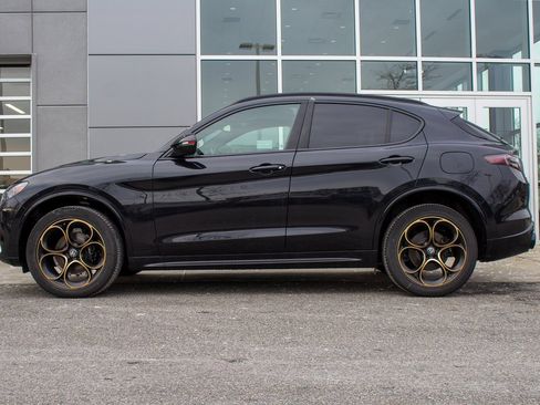 New 2025 Alfa Romeo Stelvio Sprint image 7