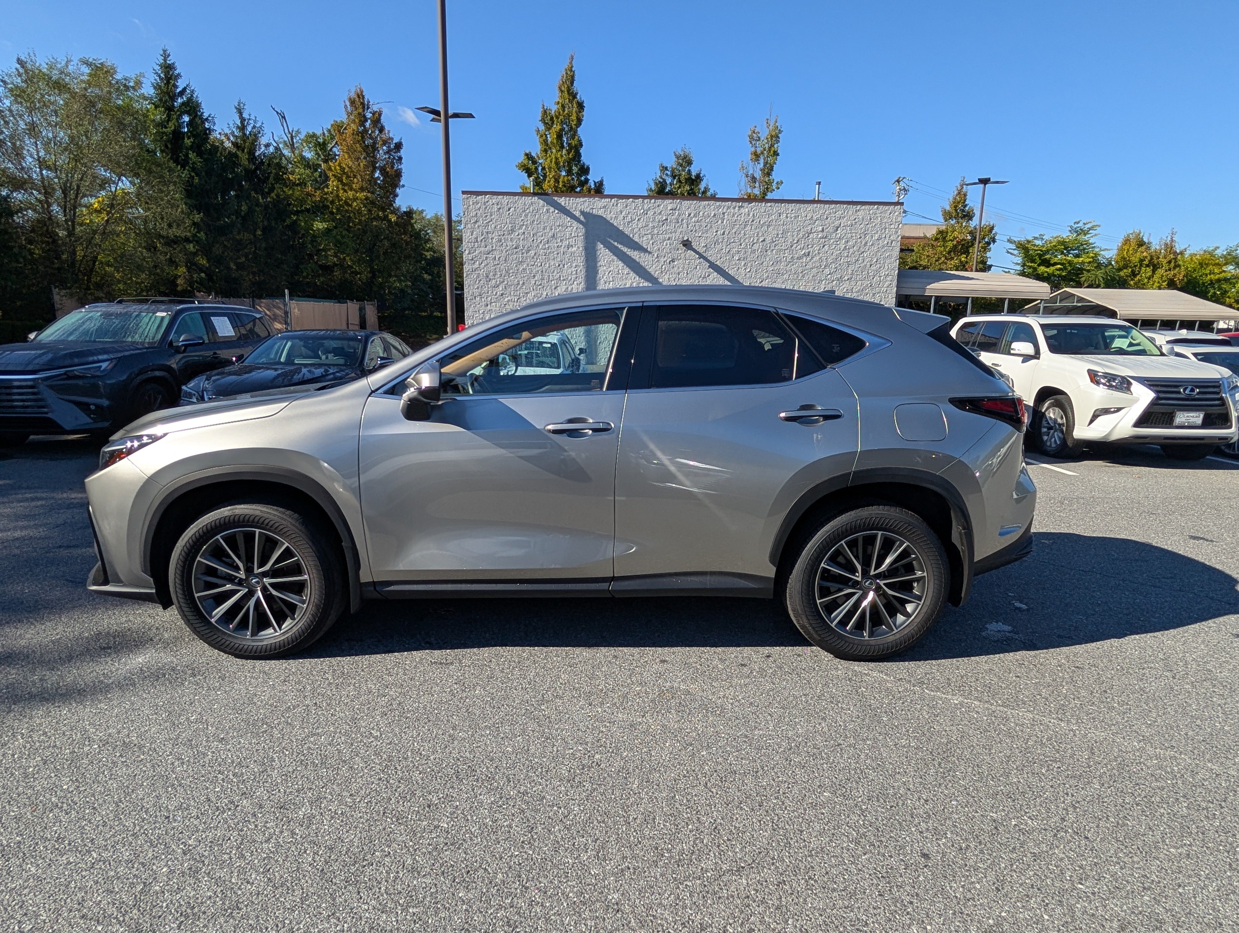 Used 2024 Lexus NX 350 AWD w/ Cold Area Package image 6