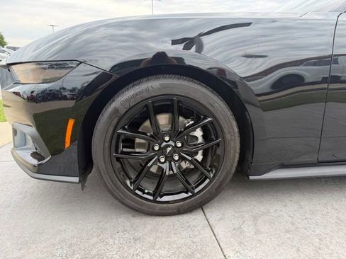Certified 2025 Ford Mustang Coupe w/ Mustang Nite Pony Package RWD image 6