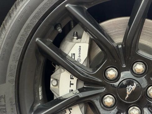 Used 2025 Ford Mustang GT Premium w/ Mustang Nite Pony Package image 7