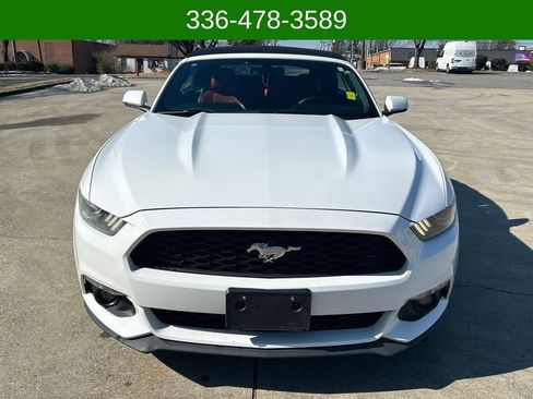 Used 2015 Ford Mustang Premium image 8