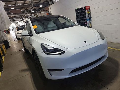 Used 2023 Tesla Model Y Long Range AWD/4WD image 3