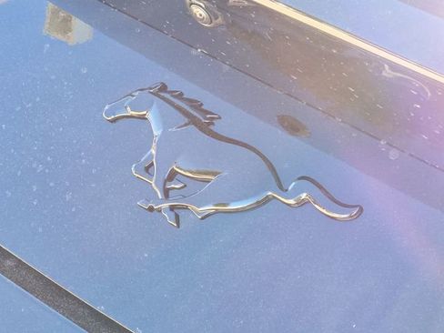 New 2026 Ford Mustang Coupe w/ Mustang Nite Pony Package image 10