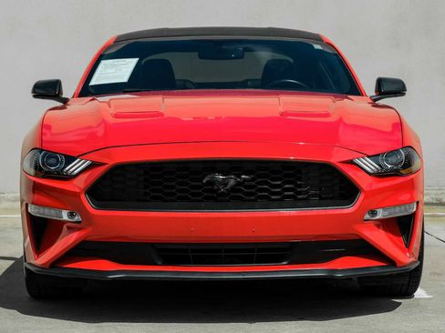 Used 2019 Ford Mustang Premium RWD image 5