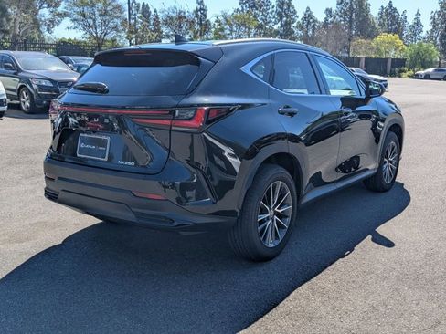 Used 2024 Lexus NX 250 NX 250 Premium w/ Cold Area Package image 6