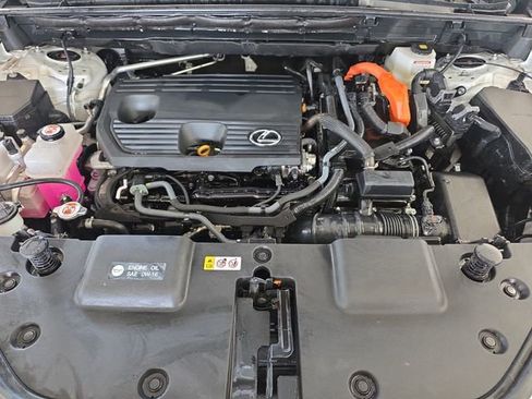Certified 2024 Lexus NX 350h AWD w/ Cold Area Package image 30
