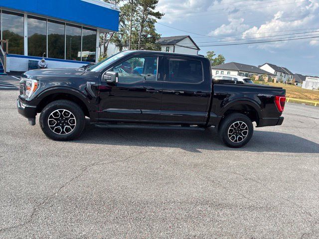 Used 2023 Ford F150 XLT w/ Equipment Group 302A High AWD/4WD image 15