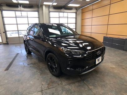 Used 2025 Ford Escape ST-Line Elite w/ Premium Technology Package