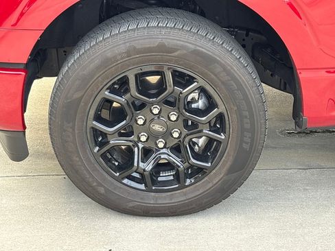 Certified 2025 Ford F150 XLT w/ Equipment Group 301A Standard image 11