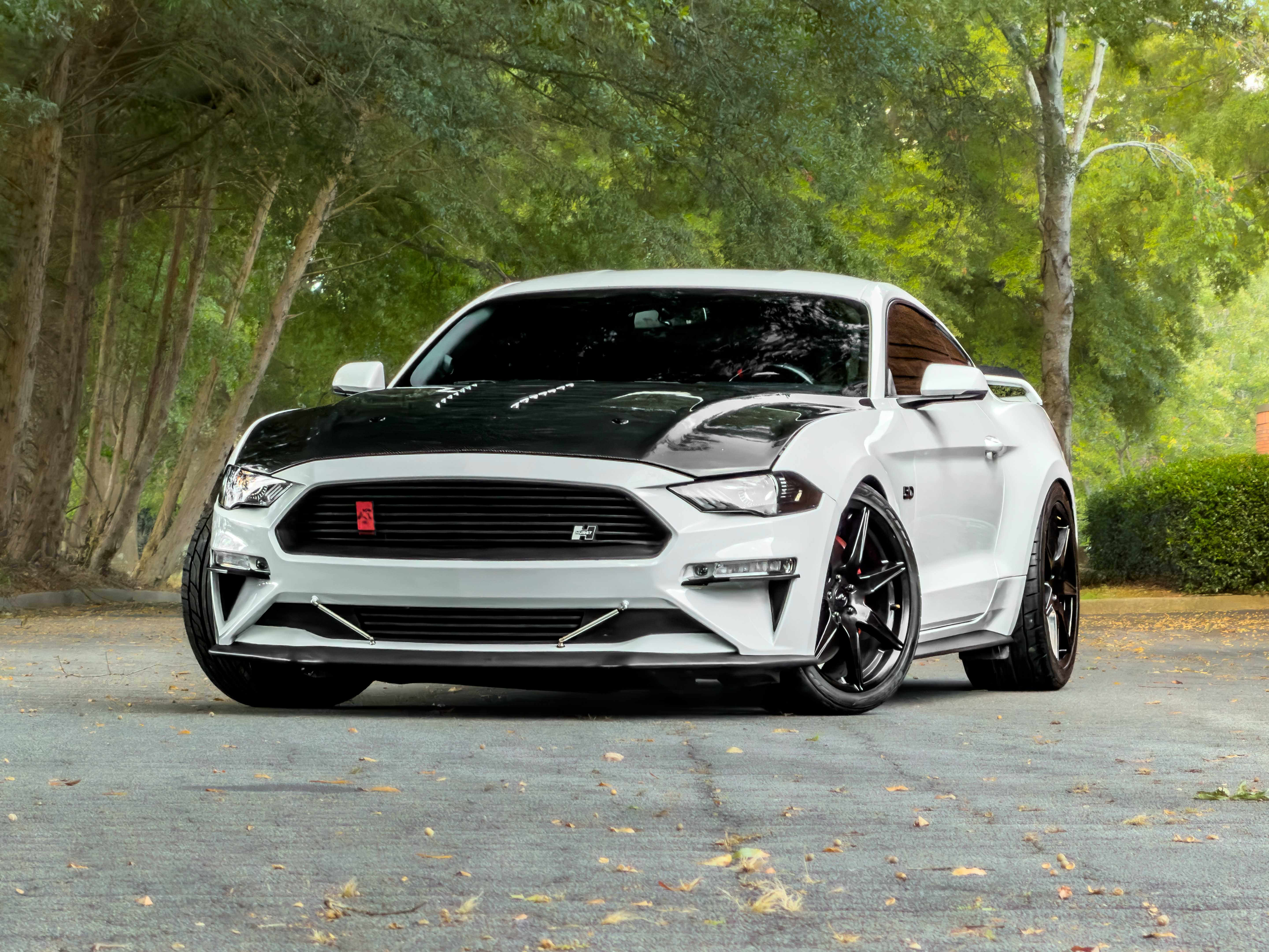 Used 2019 Ford Mustang GT Premium w/ GT Performance Package RWD image 2