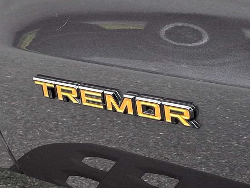 Certified 2025 Ford Expedition Tremor AWD/4WD image 31