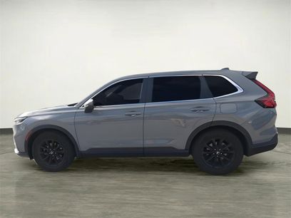 Used 2025 Honda CR-V EX-L
