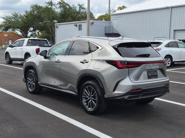 Certified 2026 Lexus NX 350 AWD w/ Cold Area Package image 7