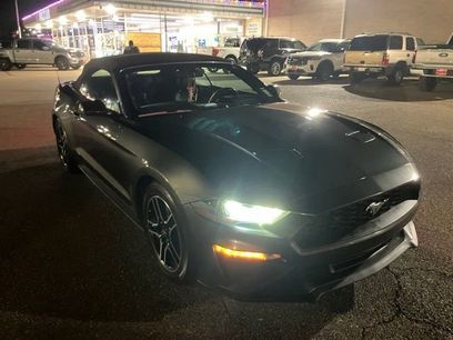 Used 2019 Ford Mustang Premium
