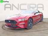 Used 2021 Ford Mustang Coupe image 5