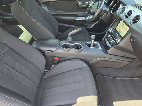Used 2019 Ford Mustang GT w/ Equipment Group 301A RWD image 15