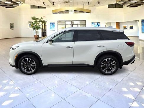 Used 2023 INFINITI QX60 Luxe w/ Cargo Package image 4