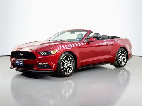 Used 2016 Ford Mustang Premium w/ Equipment Group 201A RWD image 3