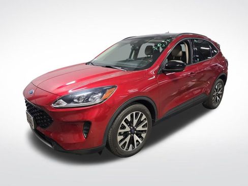 Used 2020 Ford Escape SE Sport image 4