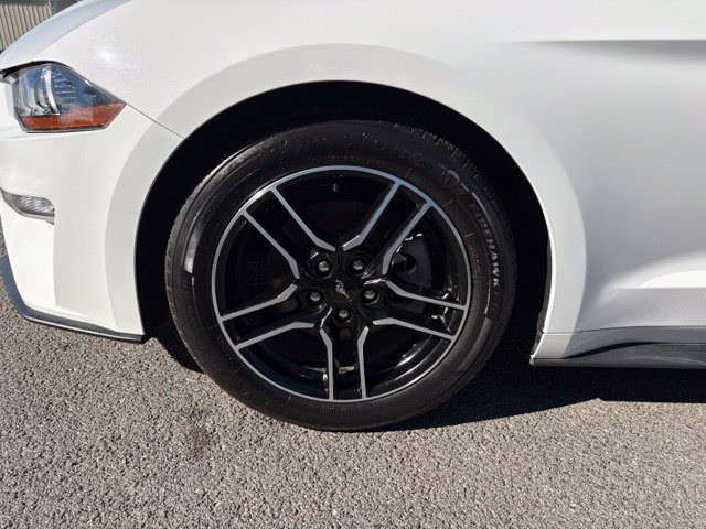 Used 2022 Ford Mustang Premium RWD image 13