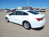 Used 2024 Chevrolet Malibu LT image 6