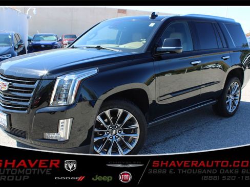 Used 2020 Cadillac Escalade Platinum w/ Escalade Sport Edition image 1