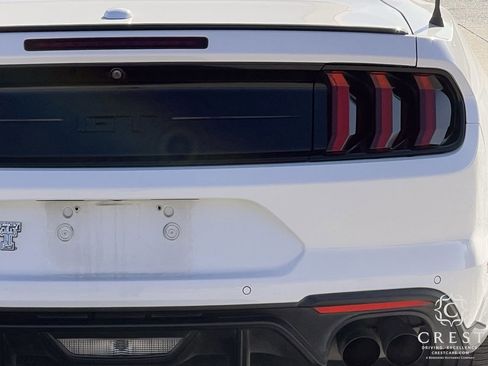 Used 2019 Ford Mustang GT Premium w/ Equipment Group 401A image 6