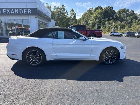 Used 2023 Ford Mustang Premium image 2
