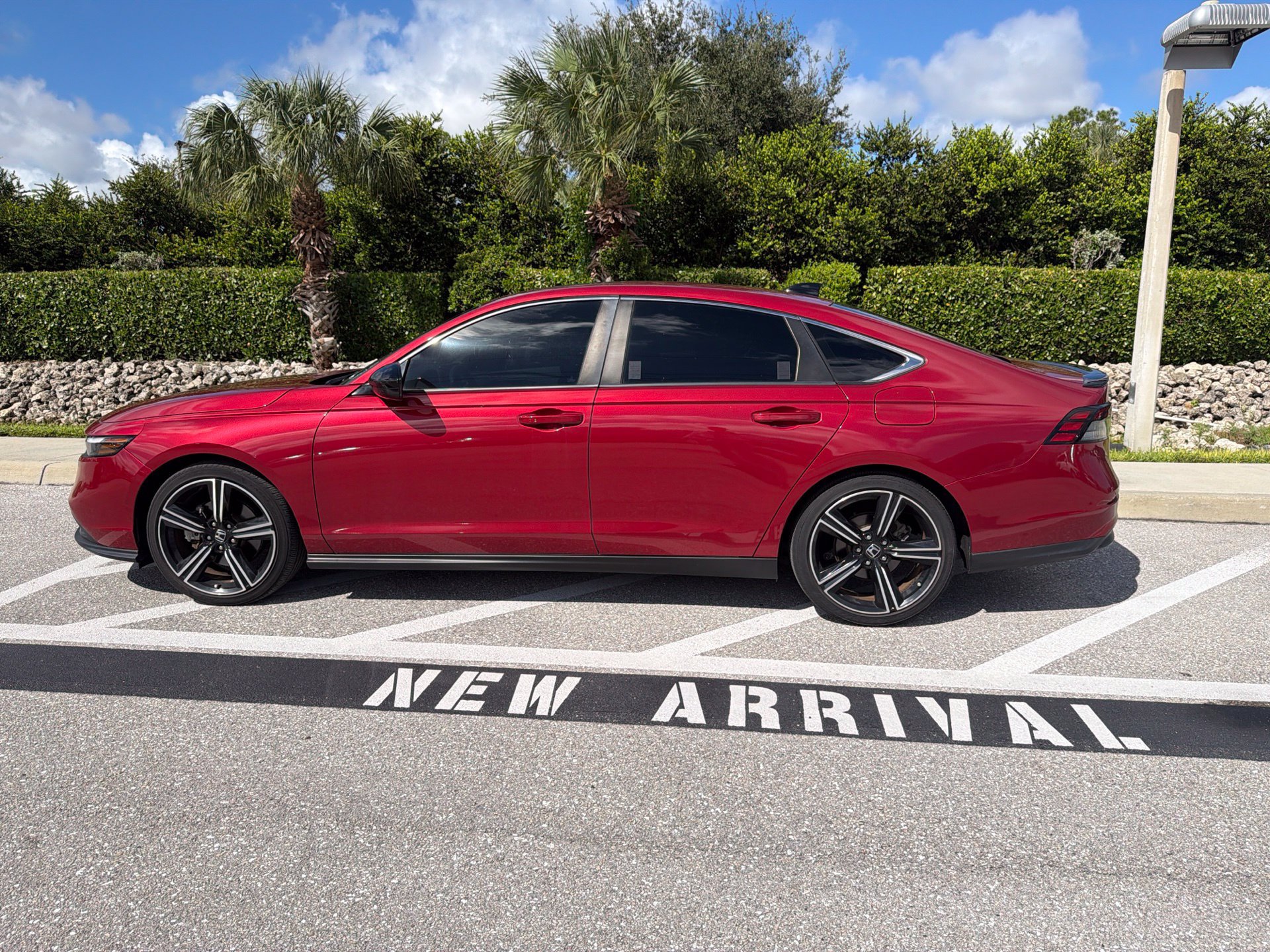 Used 2024 Honda Accord Sport image 5