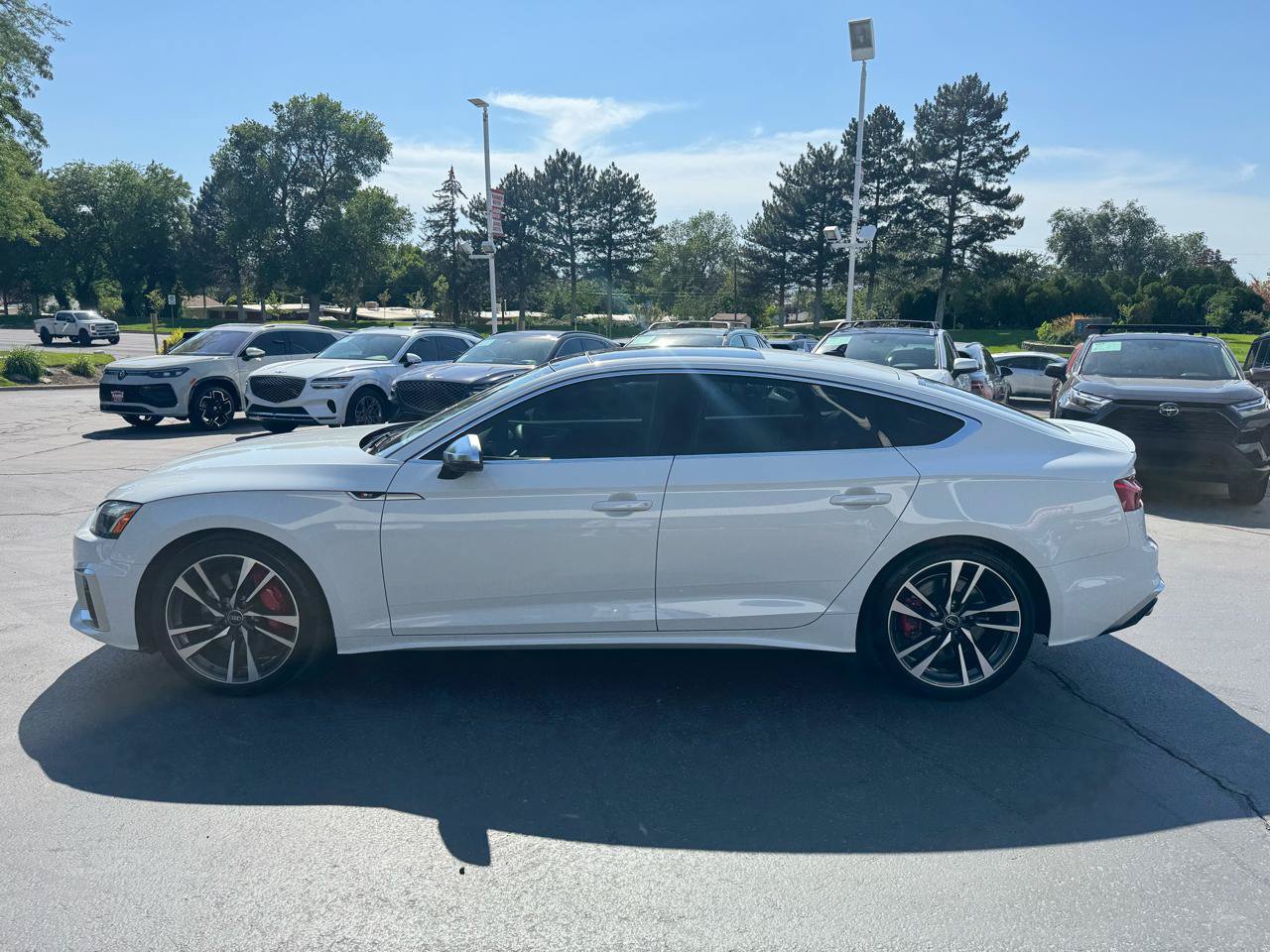 Used 2025 Audi S5 Premium Plus AWD/4WD image 14