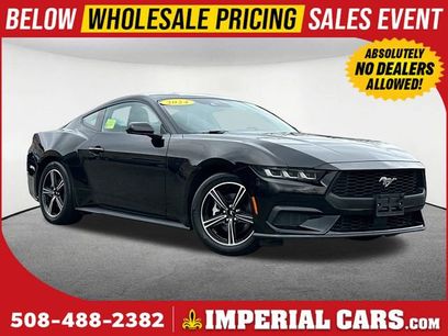Used 2024 Ford Mustang Premium