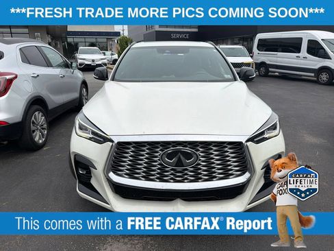 Used 2023 INFINITI QX55 Luxe w/ Cargo Package AWD/4WD image 3