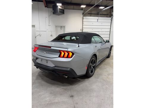 Used 2024 Ford Mustang Premium image 6