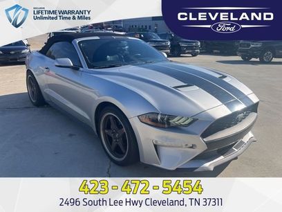 Used 2019 Ford Mustang Premium