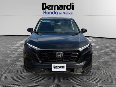 Certified 2025 Honda CR-V EX-L