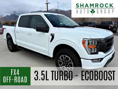 Used 2023 Ford F150 XLT w/ Equipment Group 302A High